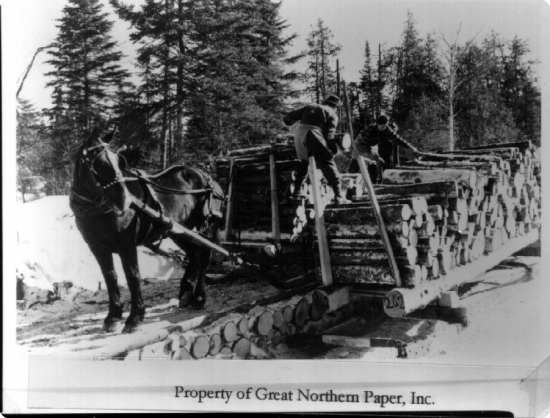 hand_unloading_pulp_off_a_horse_drawn_sleigh-156-550-425-100-rd-255-255-255.jpg