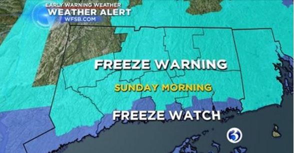 freeze warning..JPG