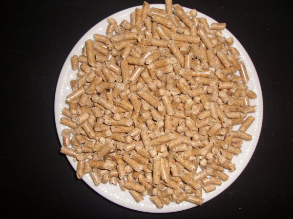 GEDC0001.JPG