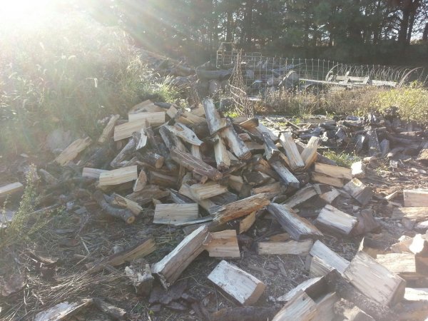 Split today bonfire.jpg