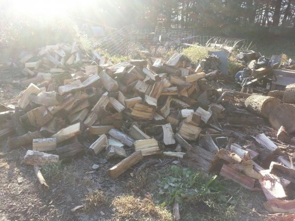 split today west view.jpg