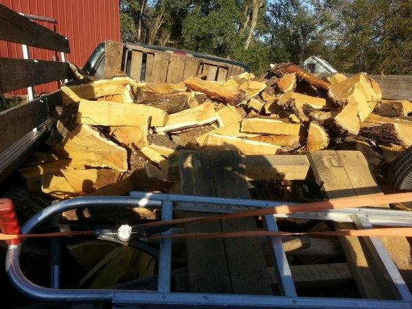 Mulberry split 17 Oct.jpg