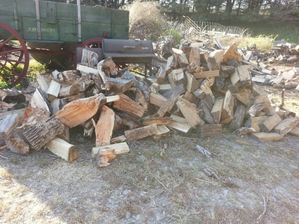 Oak plus bonfire.jpg