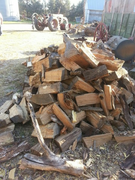 Oak thats been sitting a few years.jpg