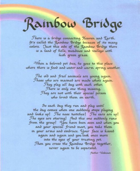 RainbowBridge_op_655x800.jpg