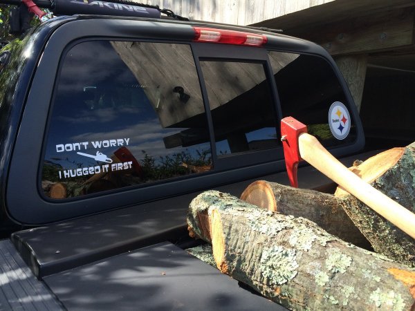 Tree Hug & Steelers_resize.JPG