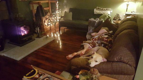 20151023_212944.jpg