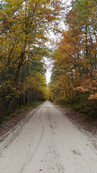2015-10-26 10.12.52.jpg