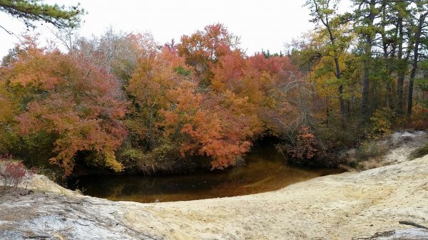 2015-10-26 10.18.11.jpg