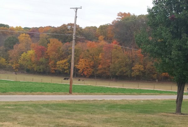 20151023_174905-1.jpg