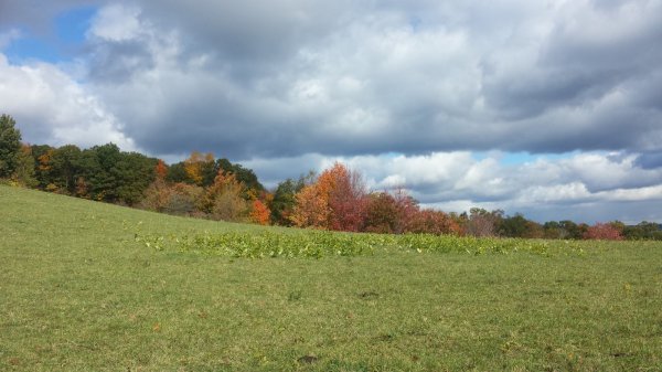 20151018_141354.jpg