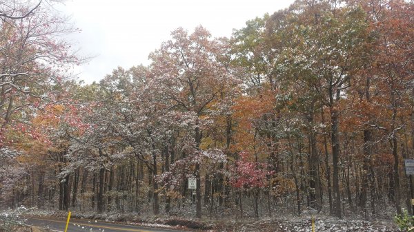 20151018_100330.jpg