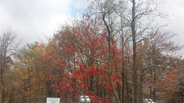 20151018_100325.jpg