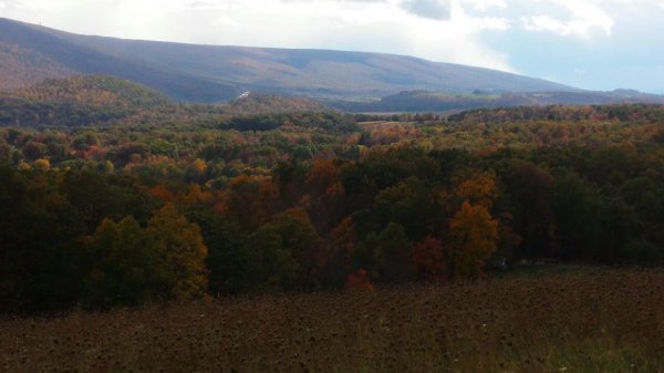 20151018_142322_35041.jpg