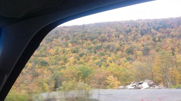 20151018_102915_6275.jpg