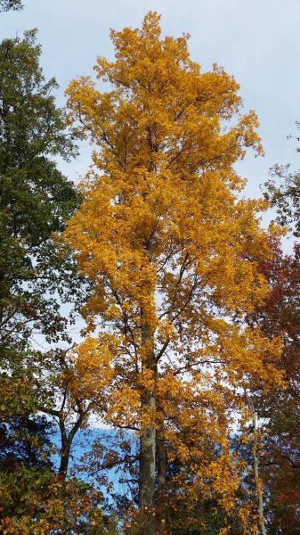 20151026_110753.jpg