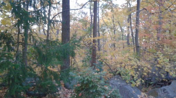 20151026_180951.jpg