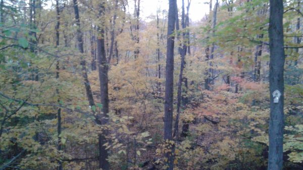 20151026_180910.jpg