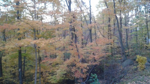 20151026_180728.jpg