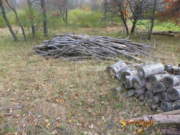 Kindling pile.JPG