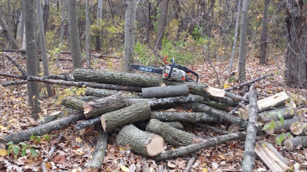 20151027_173721.jpg