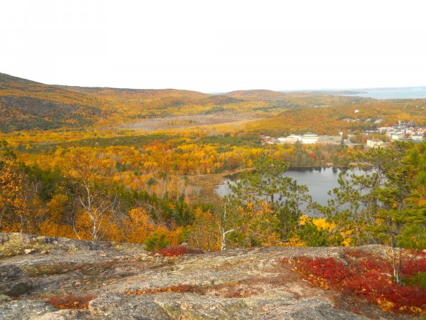 beaver pond above.JPG