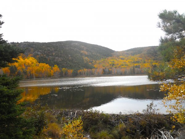 beaver pond below.JPG