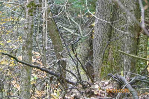 100_9388.JPG