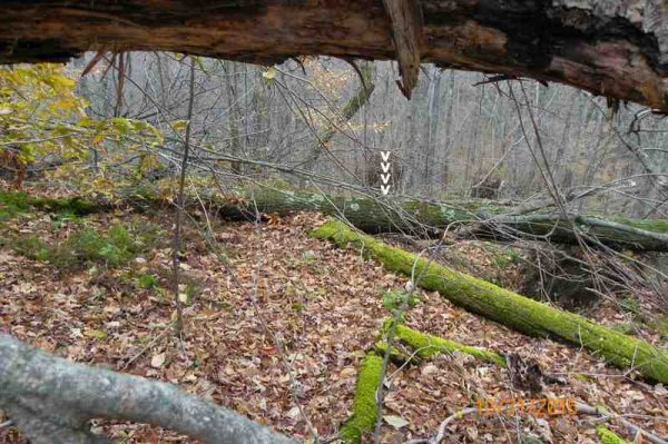 100_9390.JPG