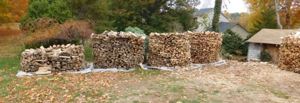 Holz Hauzen 1-4 first two are 2nd year.jpg