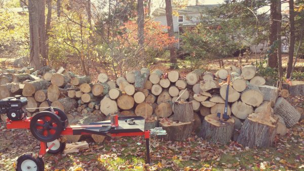 2015-11-02 12.34.35.jpg