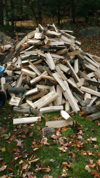 2015-11-02 12.33.31.jpg