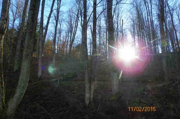 100_9418.JPG