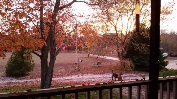 20151102_170243.jpg