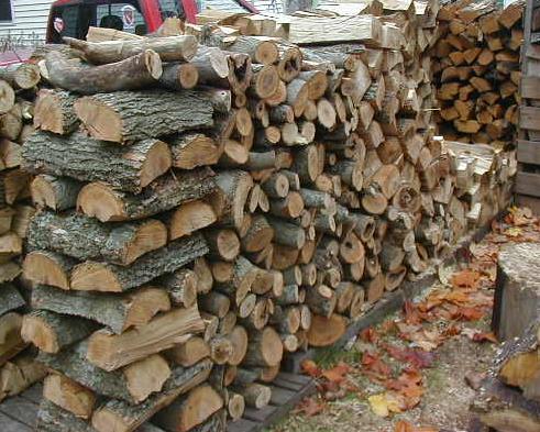 hickory firewood