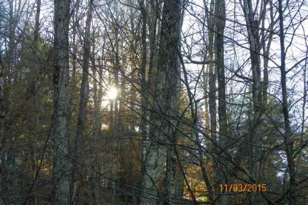 100_9434.JPG