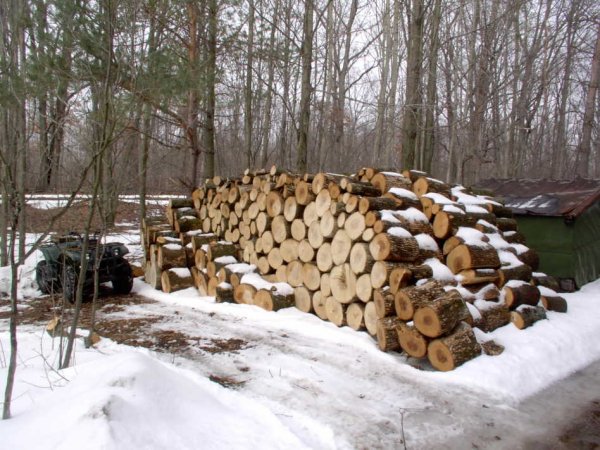 Split pile 2-26-09c.JPG