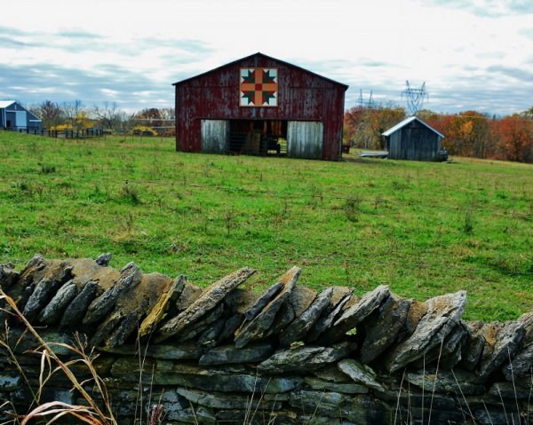 Bike Roure Pix 065 (800x639).jpg