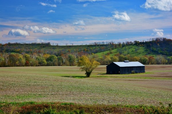 Bike Roure Pix 066 (800x533).jpg