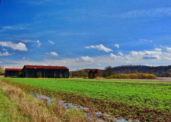 Bike Roure Pix 069 (800x571).jpg