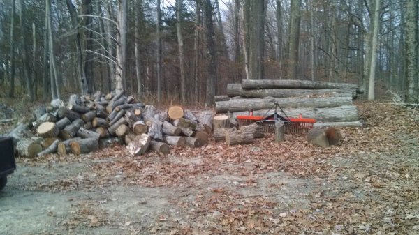 logs.jpg
