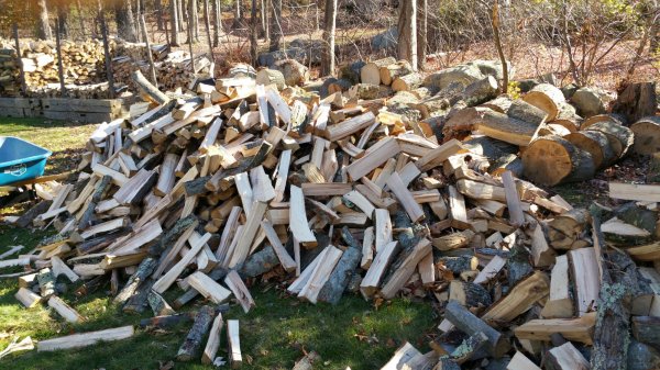 2015-11-08 13.32.31.jpg