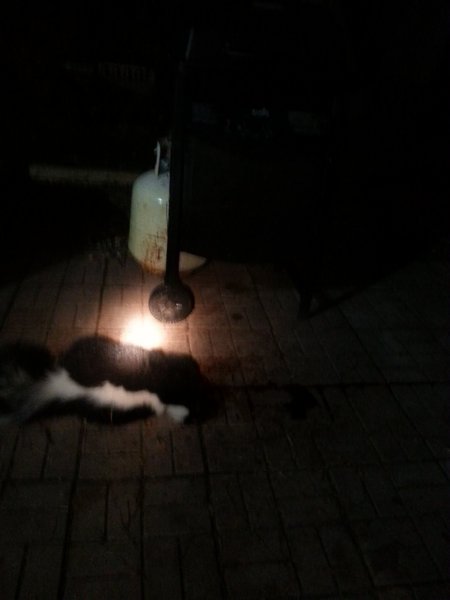 20151110_012941.jpg