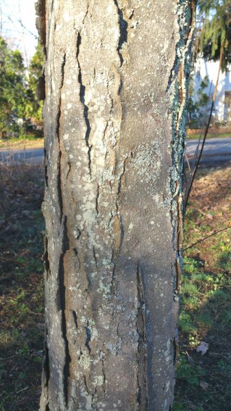 2015-11-21 08.39.21.jpg