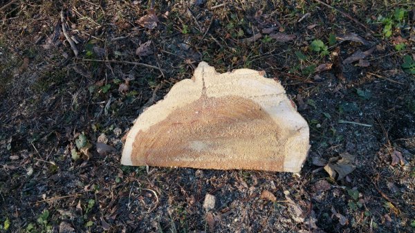 2015-11-21 09.04.28.jpg