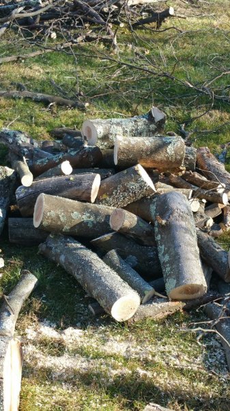 2015-11-21 11.16.59.jpg