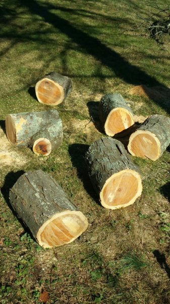 2015-11-21 11.16.10.jpg