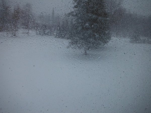 DSCF5971.JPG
