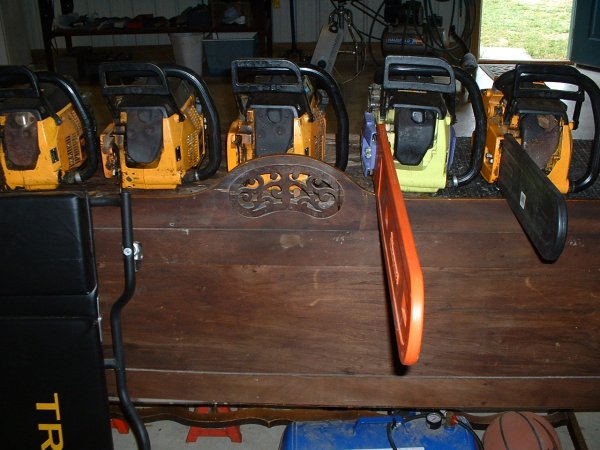 manypoulansandchain 007.JPG