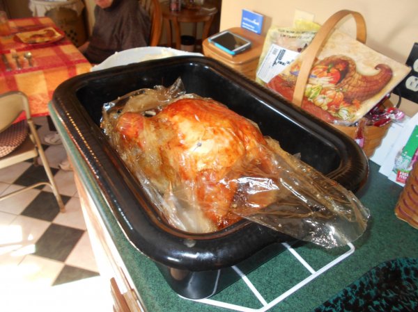 t-giving bird 001.jpg